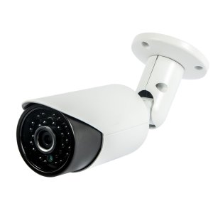 IP Cameras